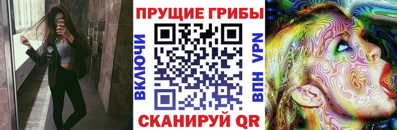 Галлюциногенные грибы Psilocybe Кохма